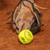 imageDUDLEY  Fastpitch Softballs  Official USAB USSSA ampamp NFHS  Multiple 12 Count OptionsNFHS  SB12  12 Yellow Leather Cover