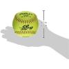 imageDUDLEY  Fastpitch Softballs  Official USAB USSSA ampamp NFHS  Multiple 12 Count OptionsNFHS  SB12  12 Yellow Leather Cover