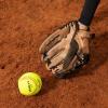 imageDUDLEY  Fastpitch Softballs  Official USAB USSSA ampamp NFHS  Multiple 12 Count OptionsUSASB  Thunder Heat  12 Yellow Leather Cover