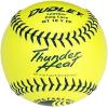 imageDUDLEY  Fastpitch Softballs  Official USAB USSSA ampamp NFHS  Multiple 12 Count OptionsUSSSA  Thunder Heat  12 Yellow Leather Cover