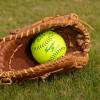 imageDUDLEY  Slowpitch Softballs  Official USASB ampamp USSSA  Multiple 12 Count OptionsUSSSA  Thunder SY  12 Yellow Synthetic Cover