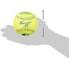 imageDUDLEY  Slowpitch Softballs  Official USASB ampamp USSSA  Multiple 12 Count OptionsUSSSA  Thunder ZN  12 Yellow Composite Cover