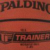 imageSpalding TFTrainer Indoor Basketball3 LBS