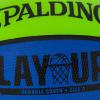 imageSpalding Outdoor Rubber Basketballs  Performance Rubber Cover Designed for Outdoor Play ColorsLay Up  GreenBlue
