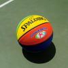 imageSpalding Rookie Gear Youth Multi Color IndoorOutdoor Basketball 275quot