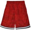 imageSpalding Boys Performance Athletic Basketball Gym ShortsRed