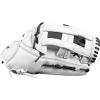 imageDudley Fielding Glove14