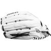 imageDudley Fielding Glove14