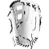 imageDudley Fielding Glove14